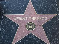 Kermit-the-Frog-Star-on-the-Hollywood-Walk-of-Fame-in-LA.jpg